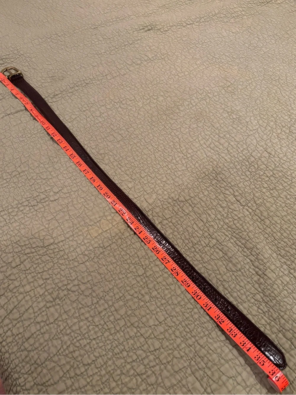 Banana Republic Brown Snakeskin Leather Belt S